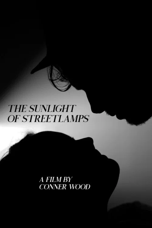 The Sunlight of Streetlamps постер