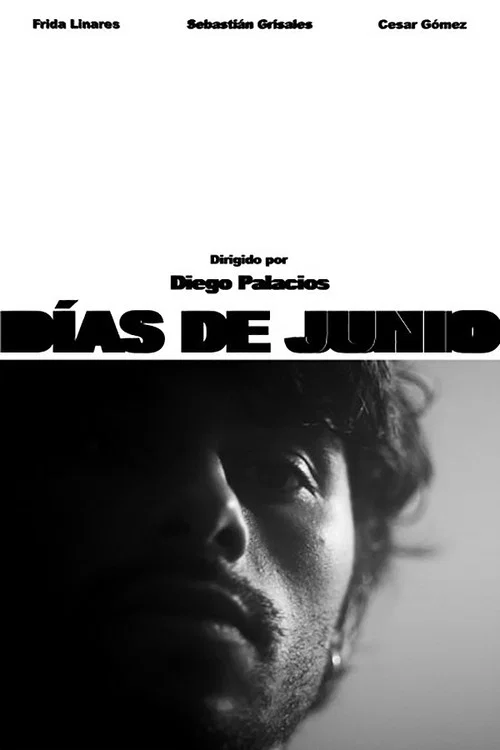 Días de Junio постер