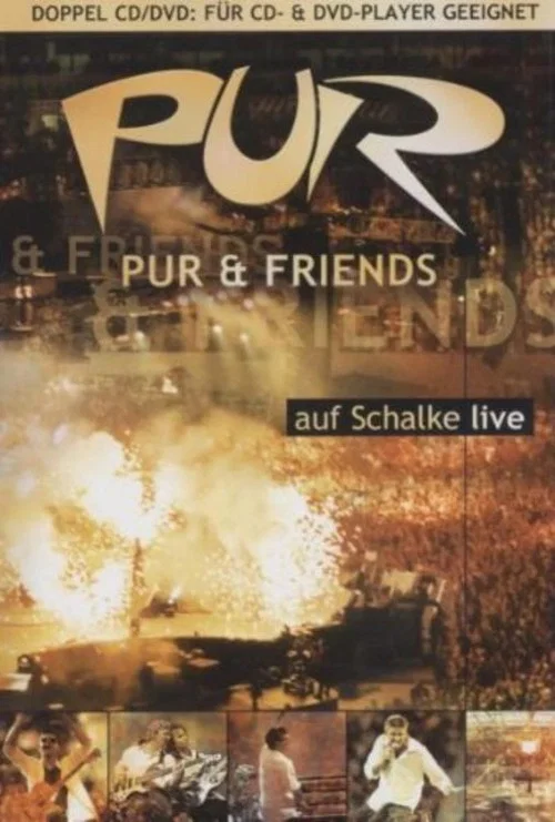 PUR & Friends auf Schalke live постер