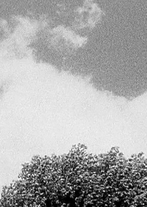 Tree & Cloud постер