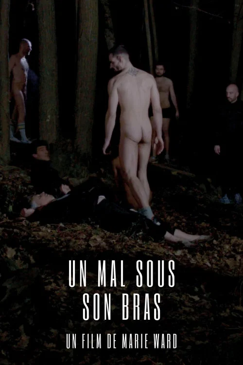 Un mal sous son bras постер