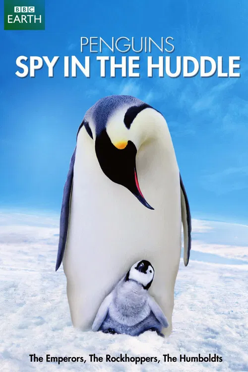 Penguins: Spy in the Huddle постер