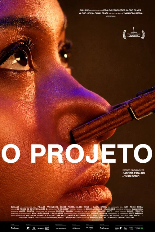 O Projeto постер