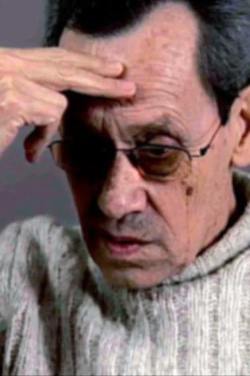 Álvaro Lapa: A Literatura постер