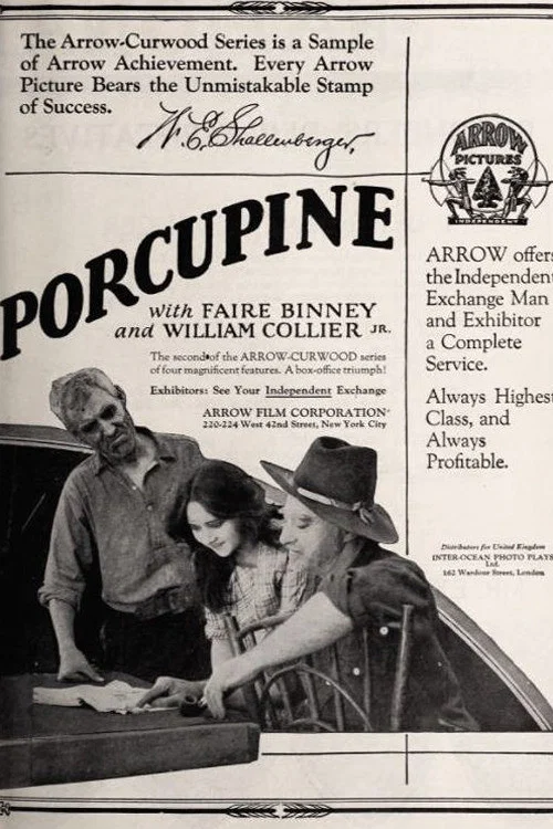 The Girl from Porcupine постер