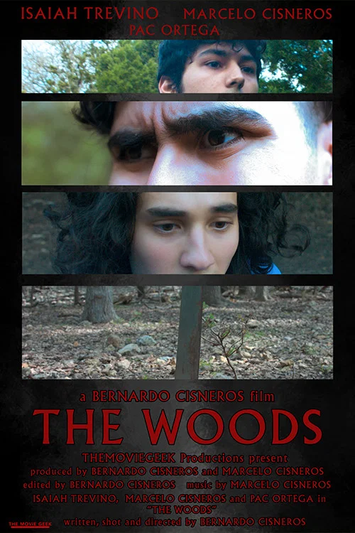 The Woods постер