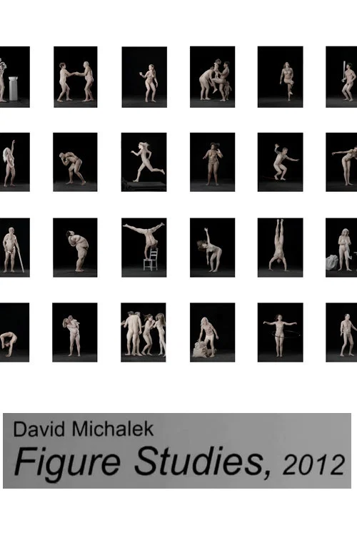 Figure Studies постер
