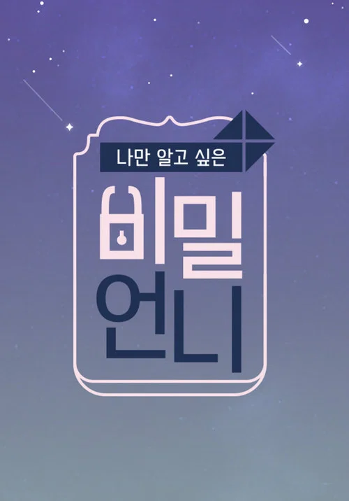 비밀언니 постер