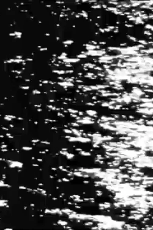 Waiting to Disappear постер