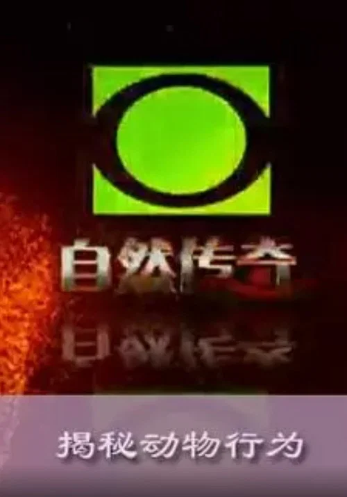 自然传奇 постер