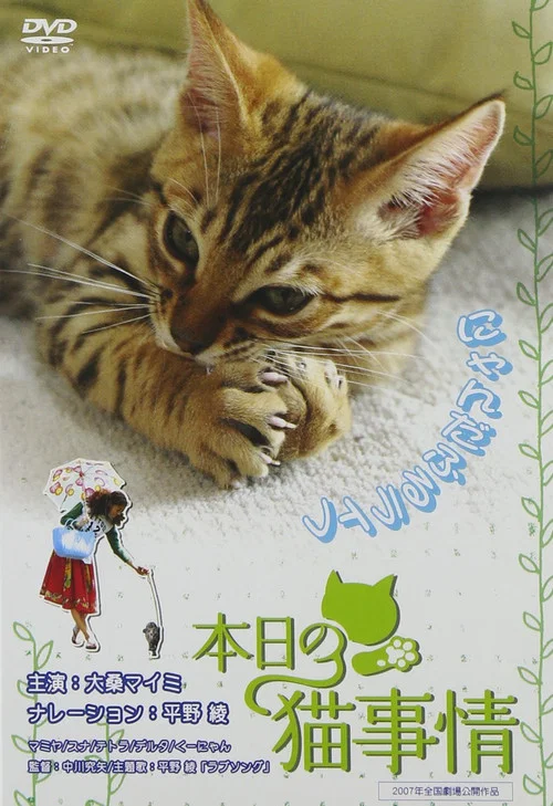 本日の猫事情 постер