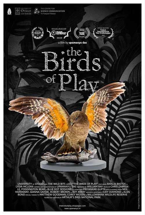 The Birds of Play постер