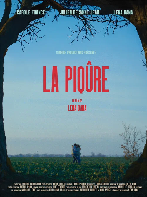 La piqûre постер