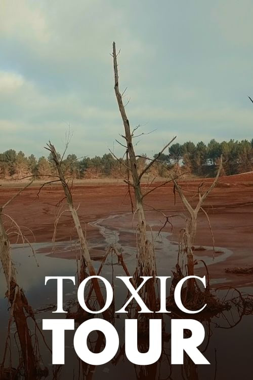 Toxic Tour постер