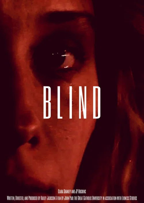 Blind постер
