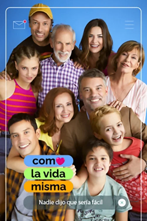 Como la vida misma постер