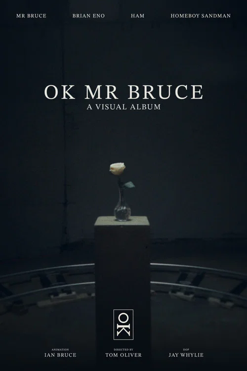 OK MR BRUCE постер