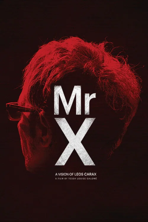 Mr. X постер