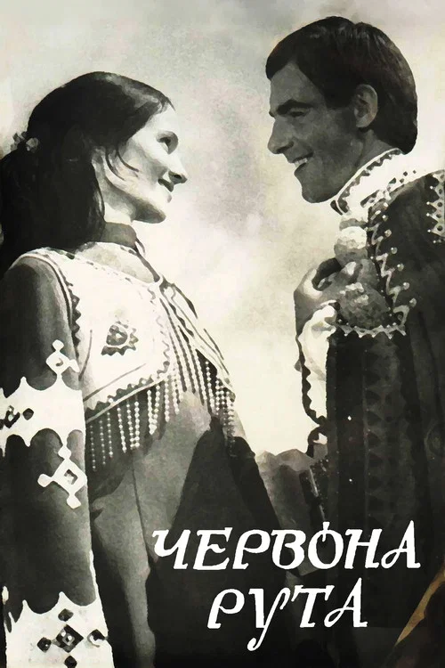 Червона рута постер