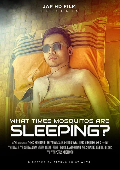 What Times Mosquitos Are Sleeping? постер