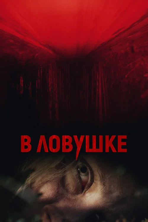 В ловушке постер