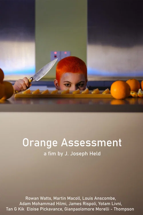 Orange  Assessment постер