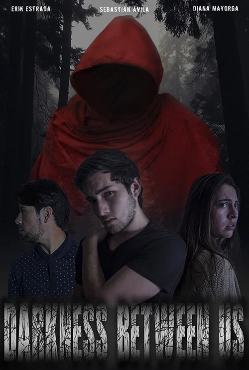 Darkness Between Us постер