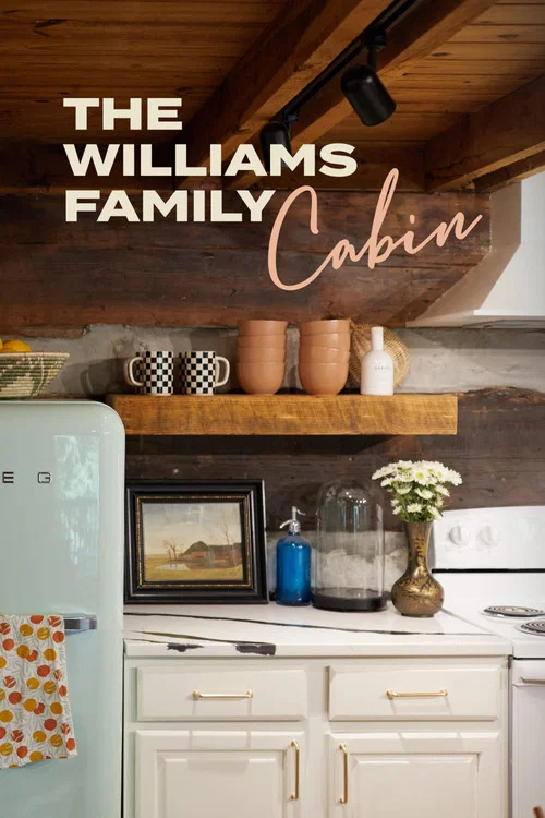 The Williams Family Cabin постер