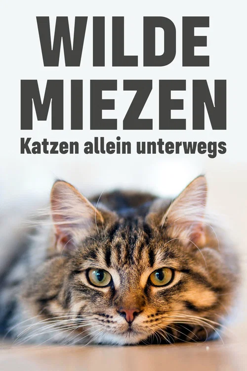 Wilde Miezen - Katzen allein unterwegs постер
