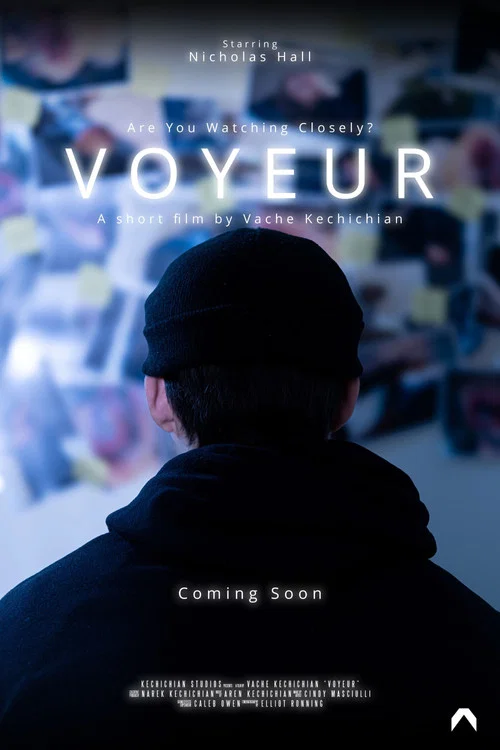 Voyeur постер