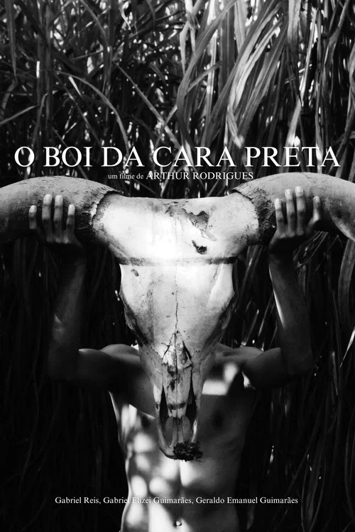 O Boi da Cara Preta постер