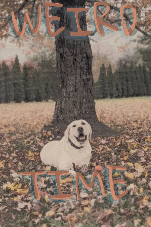 Weird Time постер