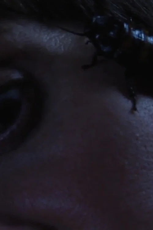 Bug Complex постер