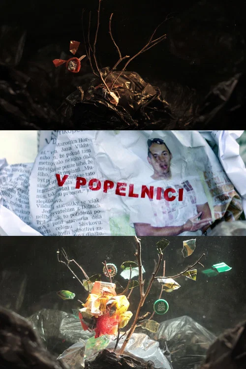 V popelnici постер