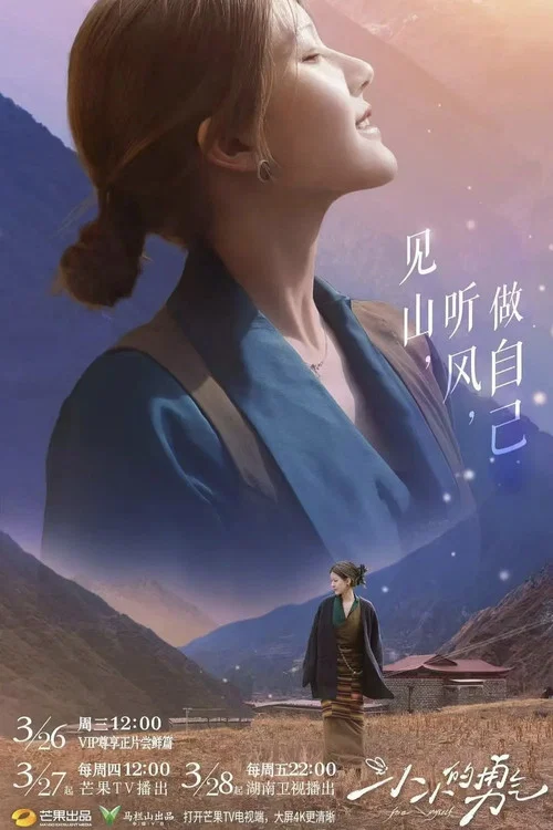 小小的勇气 постер