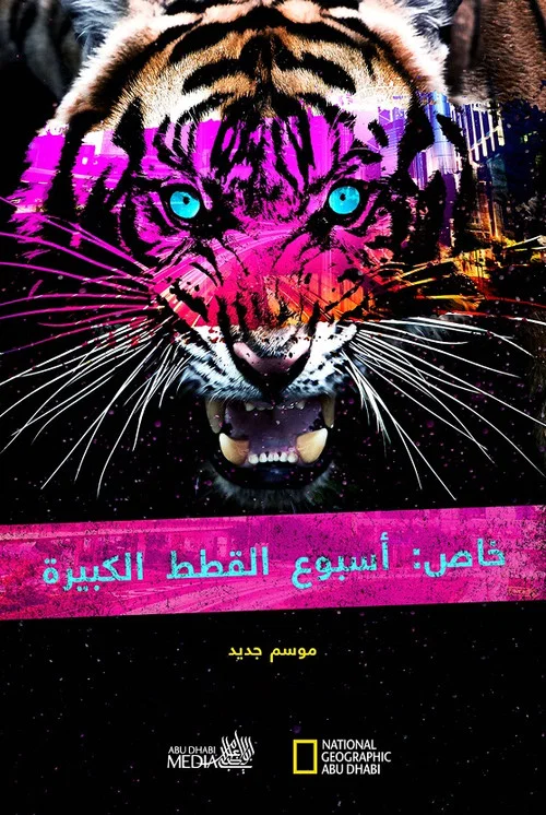 Big Cat Week Collection постер