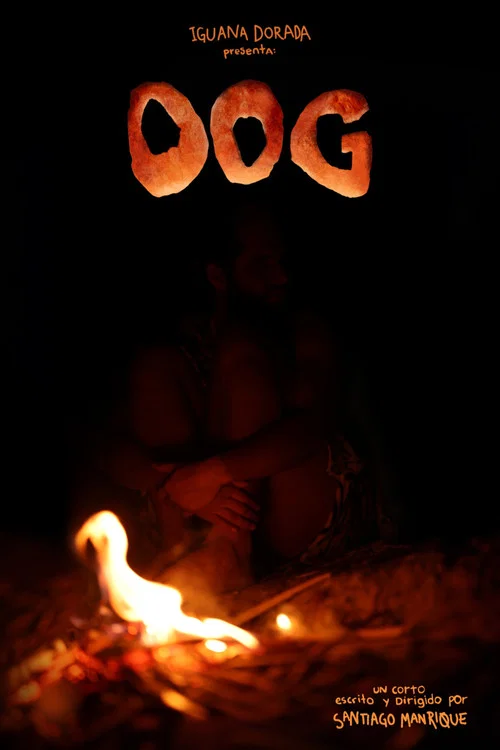 Oog постер