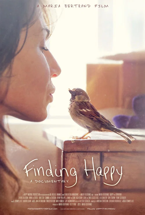 Finding Happy постер