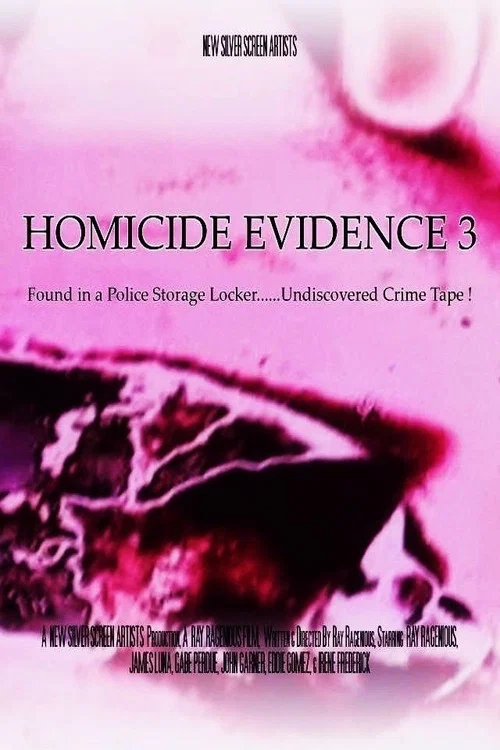 Homicide Evidence 3 постер