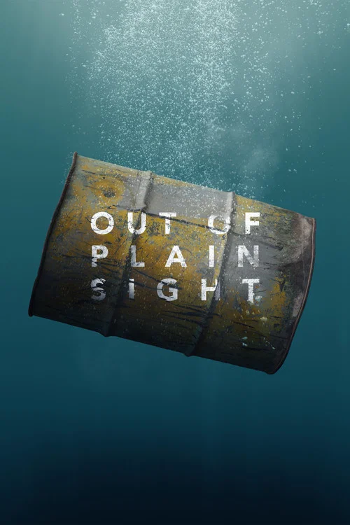 Out of Plain Sight постер