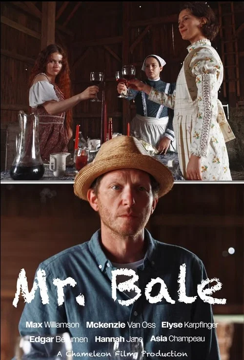 Mr. Bale постер