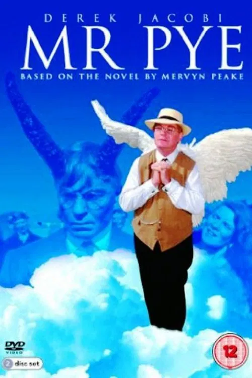 Mr Pye постер