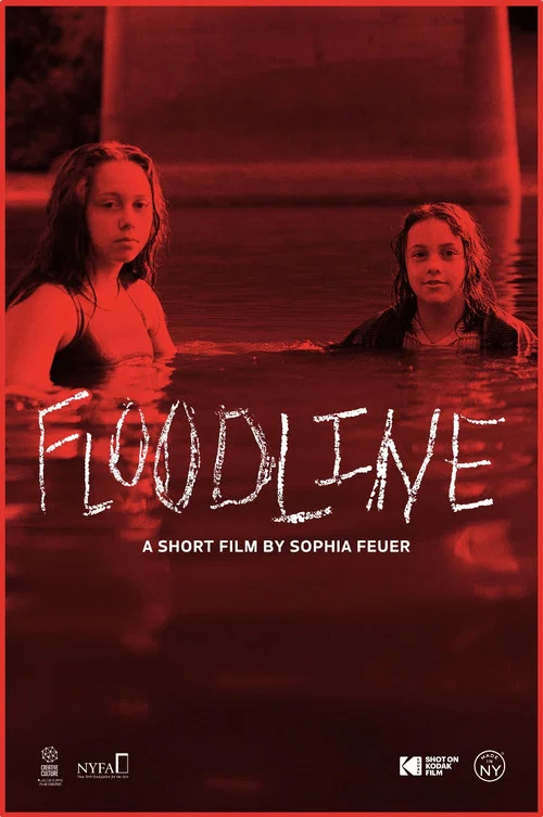 Floodline постер