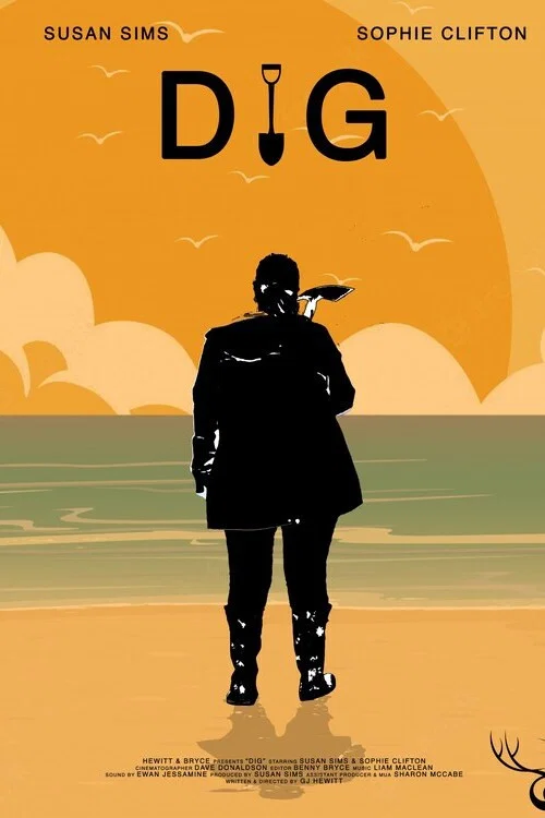 DIG постер