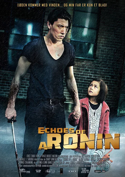 Echoes of a Ronin постер