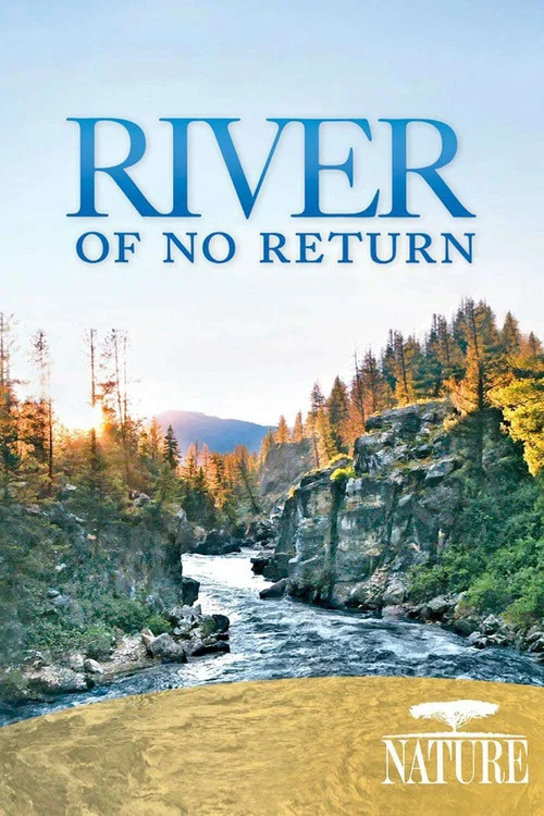 River of No Return постер