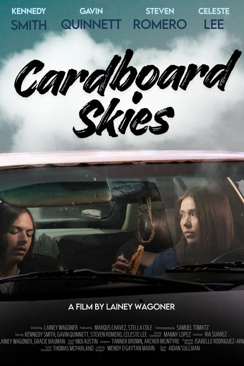 Cardboard Skies постер