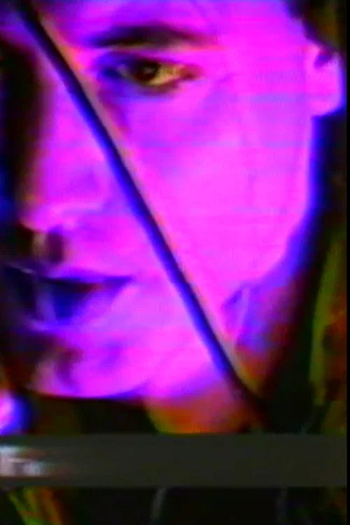 Venus to Penis постер