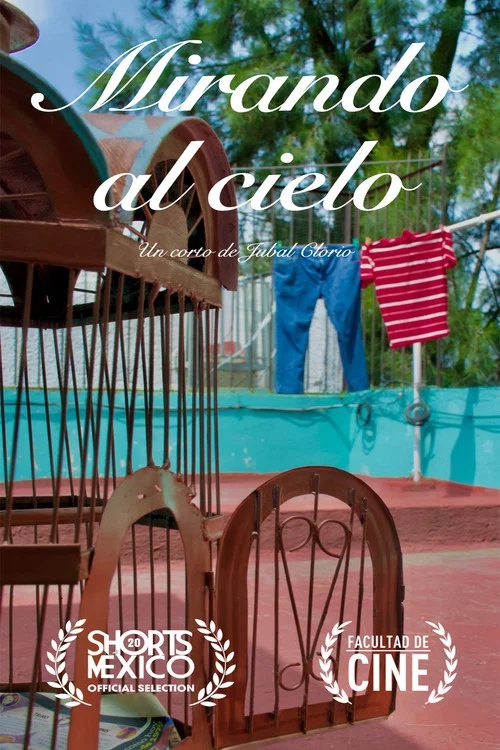Mirando al Cielo постер
