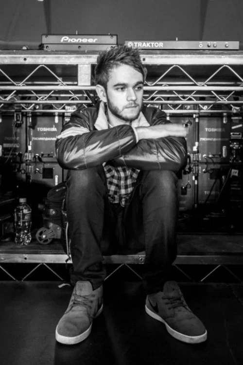 Zedd: Moment of Clarity постер